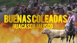 BUENAS COLEADAS | HUACASCO JALISCO