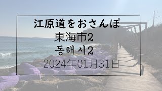 【韓国/한국】File.17 東海市その②～市内にある蝙蝠洞窟と海の道　2024.01.31