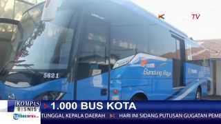 Pemerintah Buat 1000 Bus Kota Untuk 33 Provinsi