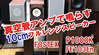 【 FOSTEX 】フルレンジ スピーカー 10cm 2種 P1000K \u0026 FE103En 真空管アンプ ( EL34 Reisong A10 \u0026 TUBE-01J ) BearHorn