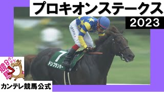 【巨漢ドンフランキー！JRA”最重量”の重賞ウィナー誕生！】2023年 プロキオンステークス (GⅢ) ＜カンテレ公式＞