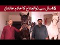 Zuljanah | Khadim E Sarkar E Zuljinah For 45 Years | Love With Imam Hussain's Horse | DulDul Badshah