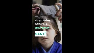 4 remèdes naturels anti-poux