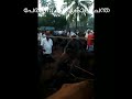 perambra cattle market... പേരാമ്പ്ര കന്നുകാലി ചന്ത