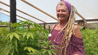Cannabis is the Human Companion Plant | with Sister Vee | Part 3
