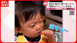 【投稿動画】イチゴ食べたいのに…『every.特集』