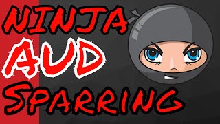 CPA Tutoring - Audit Evidence & Management Assertions | AUD CPA Exam | NINJA Sparring