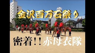 【赤母衣隊】金沢百万石祭り、1日密着！！