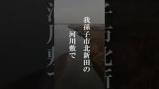 【千葉小3女児殺害事件】小学生が行方不明になった事件。実は犯人は…#shorts #都市伝説 #怖い #未解決事件