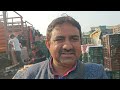 25 february 2025 tomato market rate delhi tomato market price keshopur