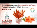 Demonstration Video on Dehydrated Carrot Pieces Processing (under PMFME Scheme) - ENGLISH