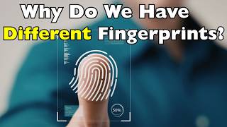 Why Your Fingerprints Are 100% Unique | Science Explained [ID2313]