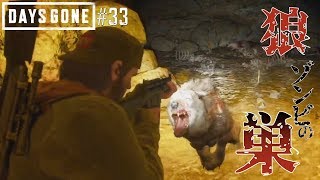 直撃！狼ゾンビの巣！！【DAYS GONE】#33