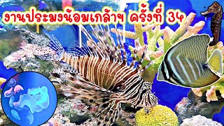 คนเลี้ยงสัตว์ EP.253 พาเดินเที่ยว งานวันประมงน้อมเกล้าฯ ครั้งที่ 34 #fish #aquarium #animals