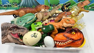 Dinosaur Tyrannosaurus Rex Box! T-Rex Head Robot Eggs  티라노사우루스 공룡