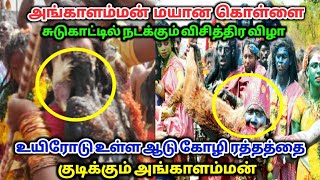 அங்காளம்மன் மயான கொள்ளை ! சுடுகாட்டில் நடக்கும் விசித்திர விழா ? என்ன நடக்கும் தெரியுமா ?