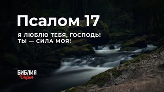 Библия. Псалом 17. Современный перевод Библии #BibleVision