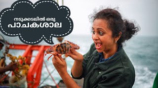 നടു കടലിൽ നിന്ന് ചെമ്മീൻ പിടിച്ച് കറി വെയ്ക്കാം/Prawn Curry Kerala Style/Prawn/