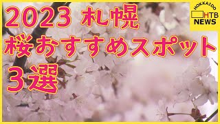 札幌の「サクラ」おすすめスポット３選！大通公園では「きびっち」がとうきびワゴンを盛り上げる