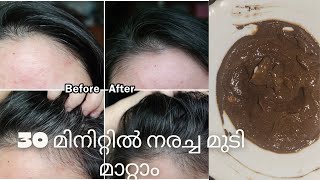 കെമിക്കലുകൾ ഇല്ലാതെ മുടി കറുപ്പിക്കാം | 100% Natural Hair Dye Malayalam | Hair Dye