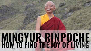 INTERVIEW WITH MINGYUR RINPOCHE - HOW TO FIND GOODNESS AND WISDOM IN EACH OF US