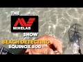 Beach Detecting with the Minelab EQUINOX 800 Metal Detector