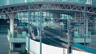 GuangZhu Intercity Highspeed Railway CR400AF(Fuxing Hao) ,Train 7267(Guangzhou South-Zhuhai)