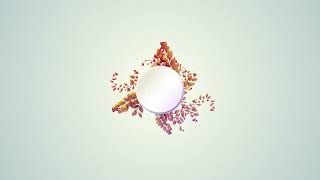 Romanza Orchard: Unforgettable Logo Intro Crafted by Digtalized for Lasting Impressions