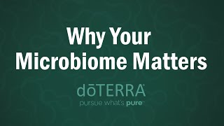 Why Your Microbiome Matters: The Invisible Organ You Never Think About