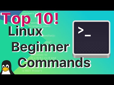 Top 10 - Linux Absolute Beginner Commands for Linux Terminal Users!