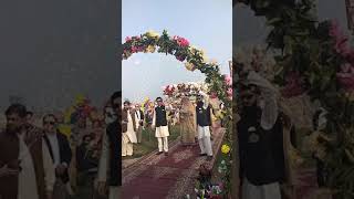 Beautiful Nikkah ceremony bride entery