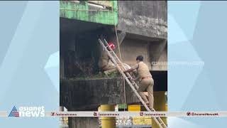 റെയിൽവേ മേൽപ്പാലത്തിൽ കുടുങ്ങിയ പൂച്ചയെ രക്ഷിച്ച് ഫയർഫോഴ്‌സ് | Cat Saved By Fire Force | Thrissur