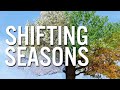 Transitions and Shifting into your season of beautiful.