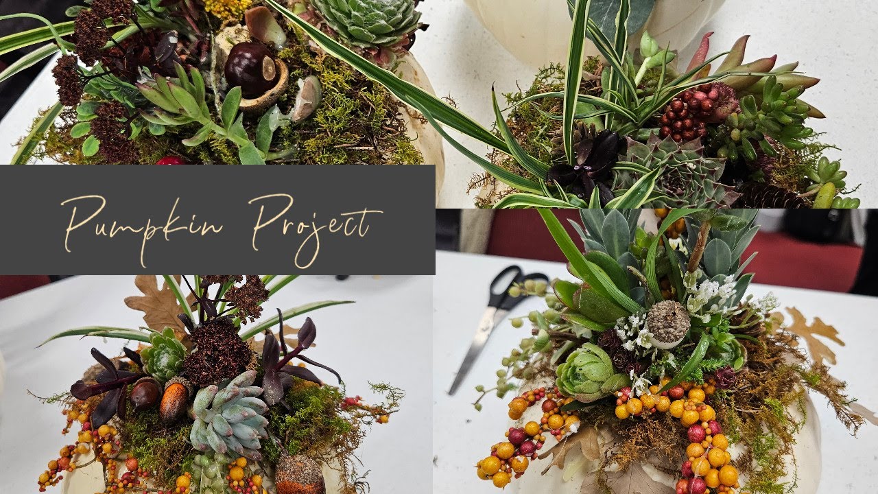 Easy Fall Decorated Pumpkins Youtube