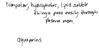 Diffusion and Membrane Permeability