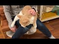 野良猫りんちゃんを家猫に迎える決意をした理由　636話