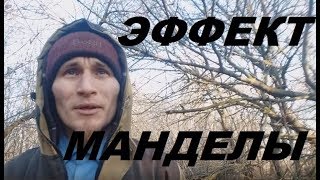 Эффект Манделы. Ч. 1. Изменение реальности силой мысли реально?