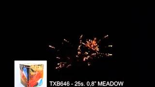 TXB646 Meadow Fireworks