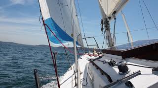 Adams 24 sailing pittwater