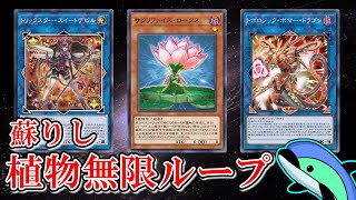 【ゆっくり実況】植物リンクの再来……？？イグナイト2枚からサクリファイスロータス無限ループ先攻ワンキル【遊戯王マスターデュエル】