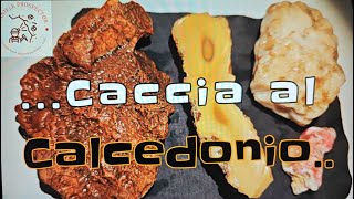 Caccia al Calcedonio -  Hunting for Chalcedony Rocks