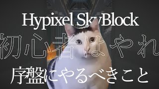 【Hypixel SkyBlock】初心者がやるべきこと#4