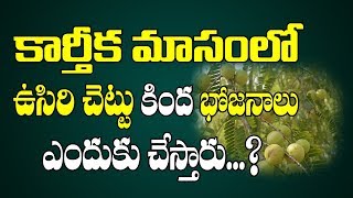 కార్తీకమాసంలో ఉసిరిచెట్టు కిందే భోజనాలు చేస్తారెందుకు | Karthika Masam | Pooja Tv Telugu