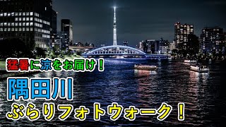 【写真撮影】暑い夏が続きます！涼しい気分になって頂けるよう隅田川の美しい橋の特集です！永代橋、中央大橋、佃大橋、勝鬨橋、築地大橋を紹介しています！【ドボク景観】グダグダの撮影旅行記！【テクノスケープ】