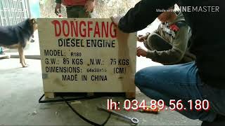 Đầu nổ Diesel D8,bóc thùng máy nhập khẩu