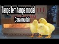 membuat BOX doc ayam dari kardus | tanpa lem dan sangat mudah