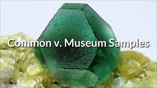 M10-Common versus Museum Quality Minerals