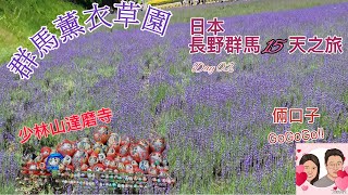 [2024長野群馬之旅]#0004 EP02 群馬薰衣草園、少林山達磨寺