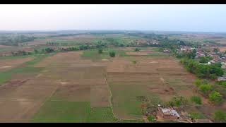 dron video (4)