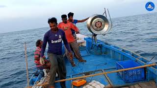 கடல்மேல் அந்தோனி, மரியதாஸ் மீன் பிடிக்கும் வீடியோ | Fishing Video by Anthony \u0026 Maria dhas